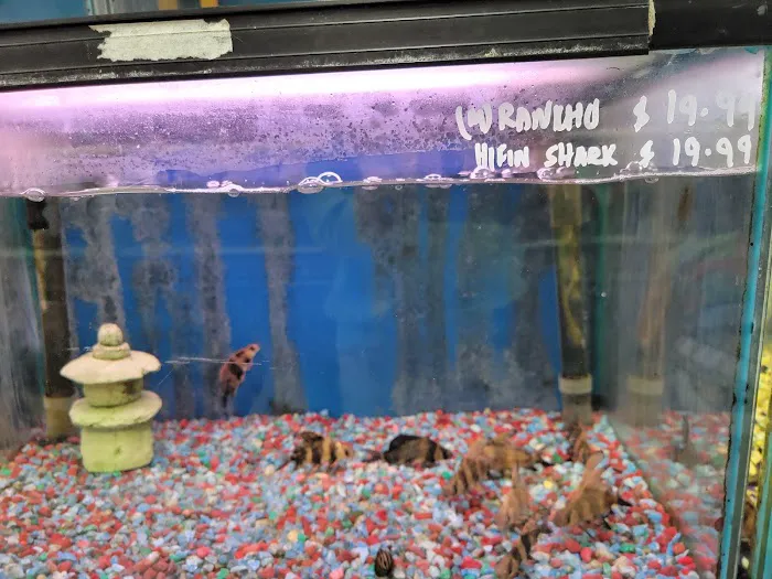 Tropical Fish Incorporated Picture 7