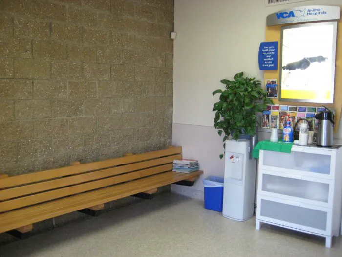 VCA Parkwood Animal Hospital Picture 6