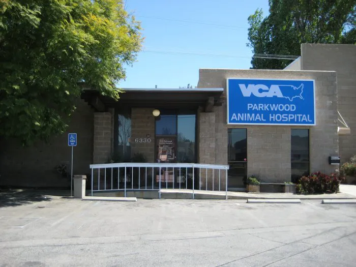 VCA Parkwood Animal Hospital Picture 10