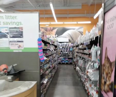 Petco