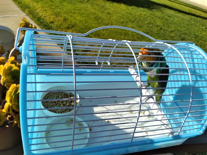 Petco Picture 7
