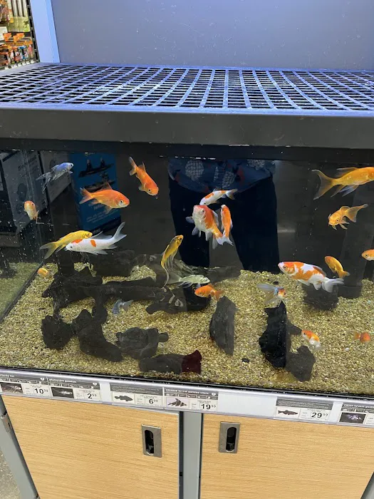 Petco Picture 9