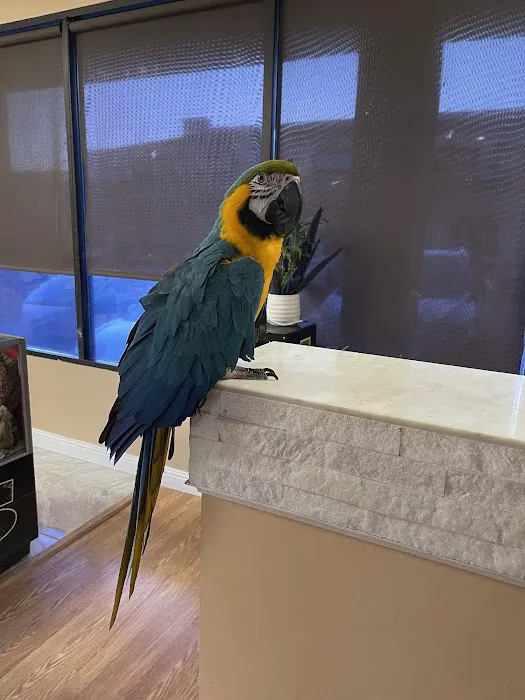 Agustin's Exotic Birds and Reptiles Picture 4