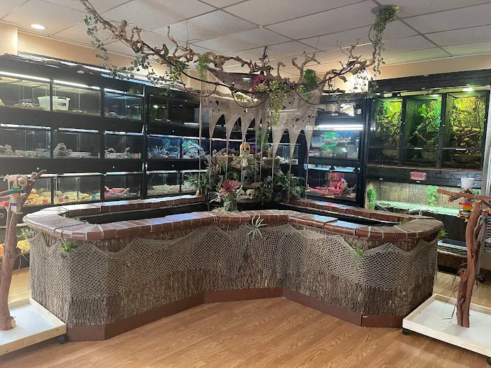 Agustin's Exotic Birds and Reptiles Picture 6