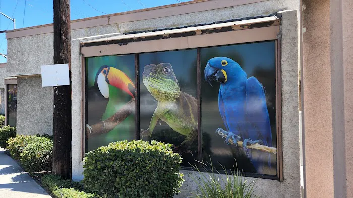 Agustin's Exotic Birds and Reptiles Picture 9