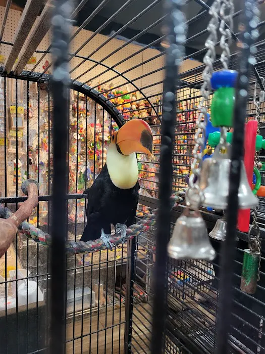 Agustin's Exotic Birds and Reptiles Picture 10