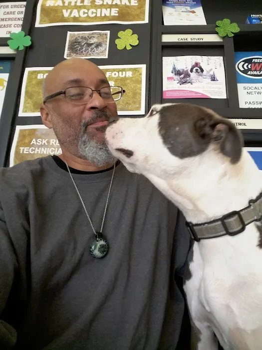 Southern California Veterinary Hospital & Animal Skin Clinic Picture 9