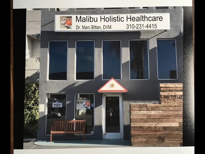 Holistic Veterinary Healthcare Picture 6