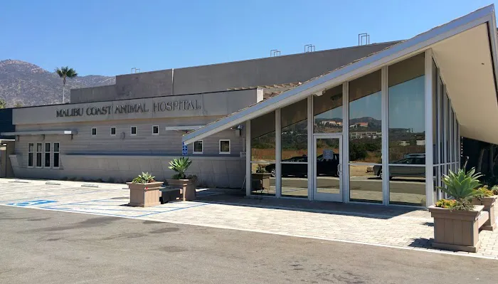 Malibu Coast Animal Hospital Picture 2