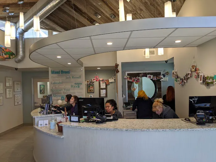 Malibu Coast Animal Hospital Picture 6