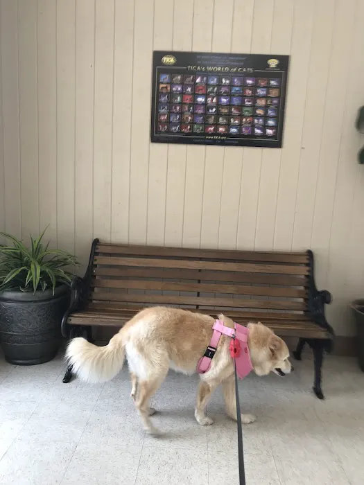 Canoga Park Veterinary Center Picture 3