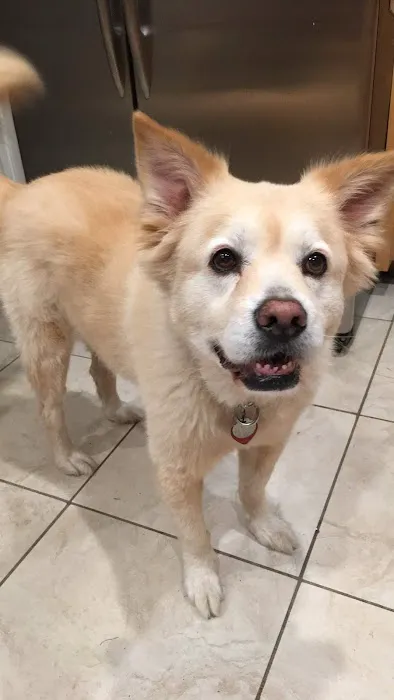 Canoga Park Veterinary Center Picture 10
