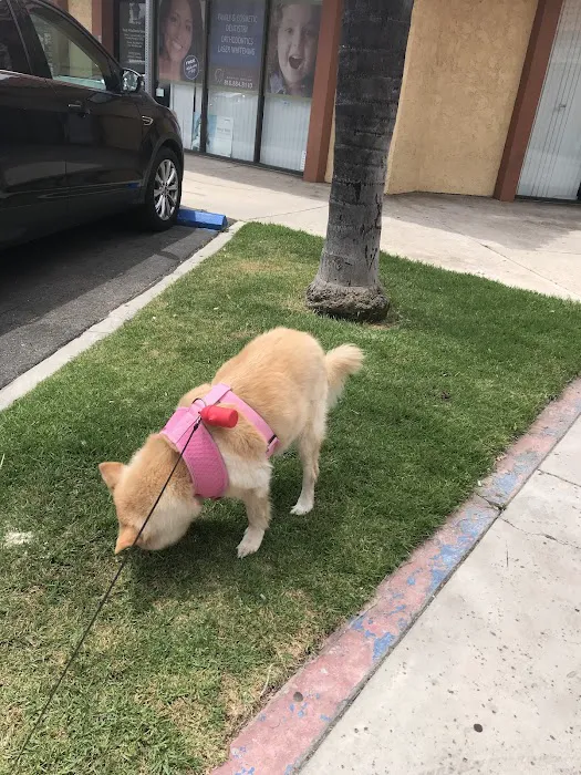 Canoga Park Veterinary Center Picture 6