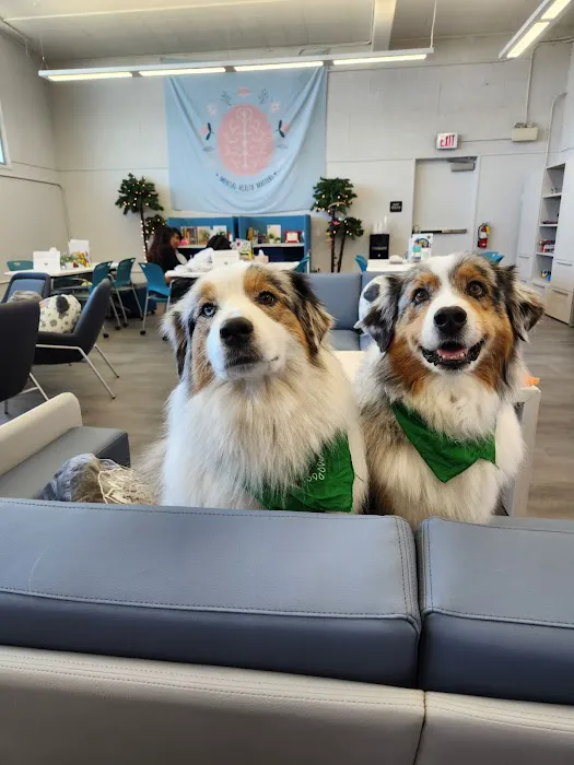 Channel Islands Veterinary Hospital Picture 5