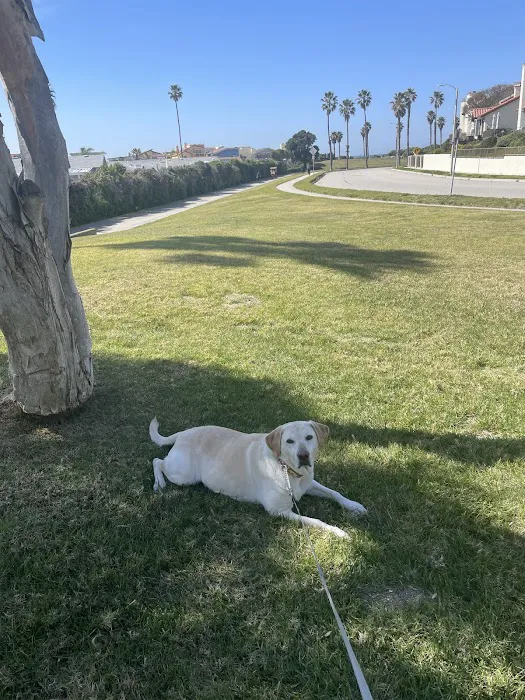 Channel Islands Veterinary Hospital Picture 1