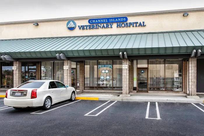 Channel Islands Veterinary Hospital Picture 10