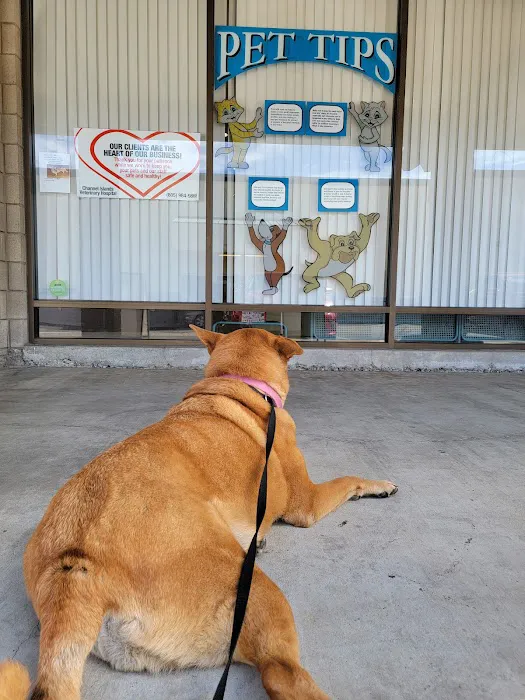 Channel Islands Veterinary Hospital Picture 6