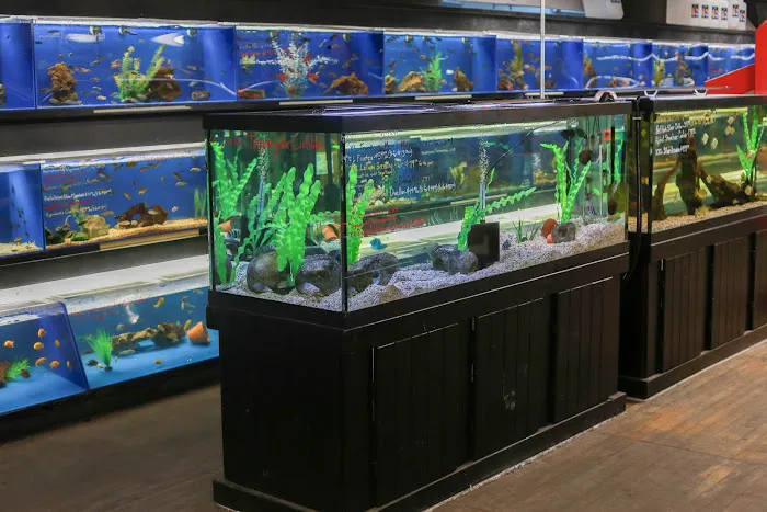 The Ocean Floor Picture 4