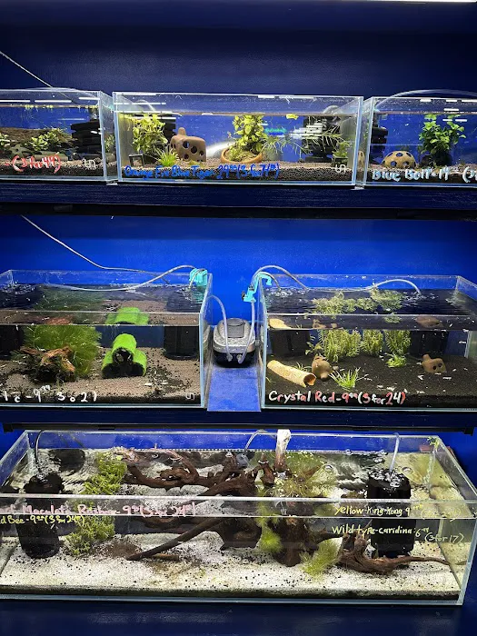 The Ocean Floor Picture 10