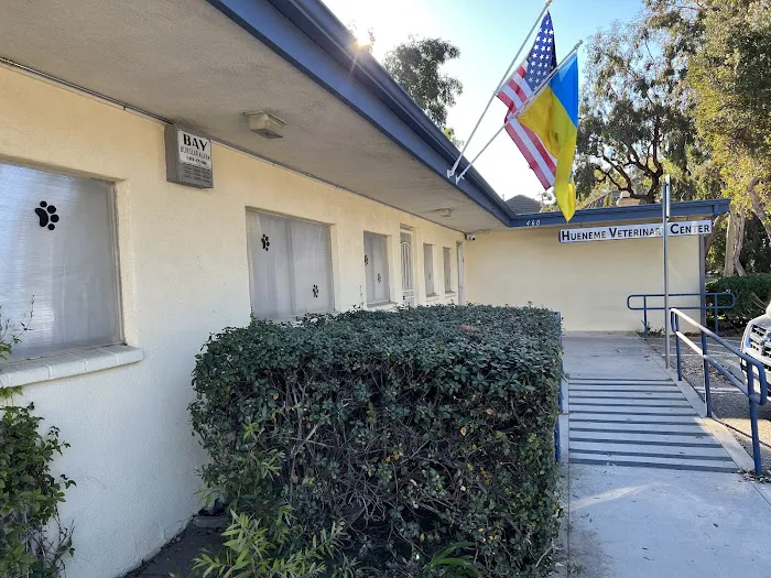 Hueneme Veterinary Center Picture 4