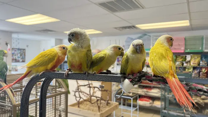 VCM Bird Land, Bird Store Picture 8