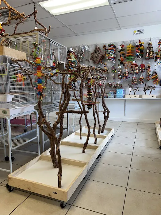 VCM Bird Land, Bird Store Picture 5