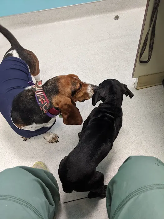 NBVC Vet Clinic Picture 3