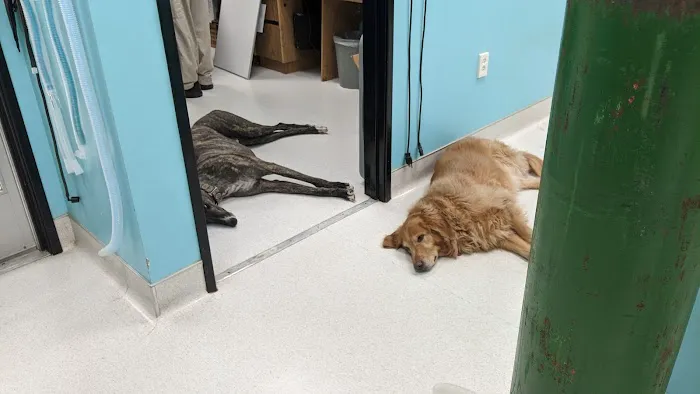 NBVC Vet Clinic Picture 4