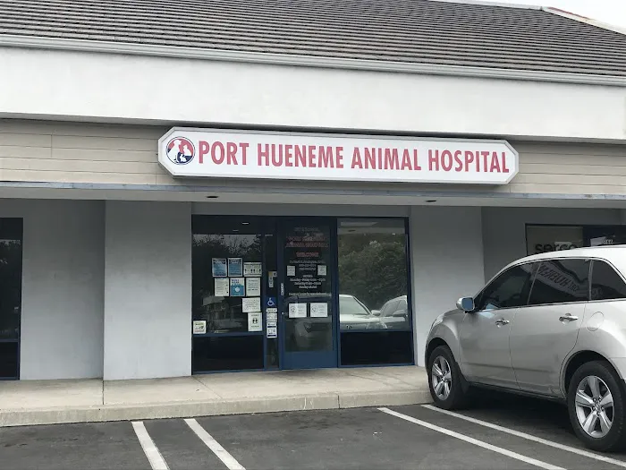Port Hueneme Animal Hospital Picture 3