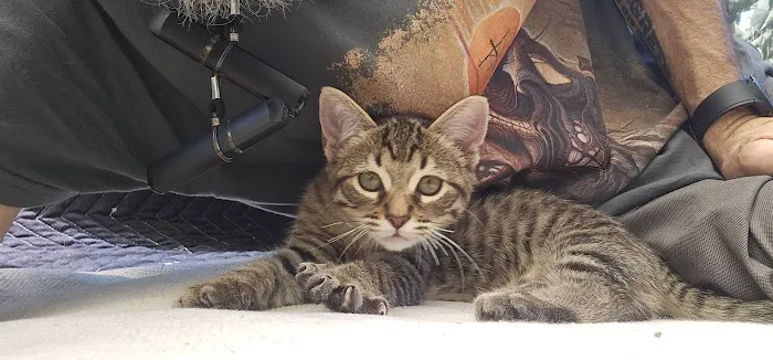 Port Hueneme Animal Hospital Picture 6
