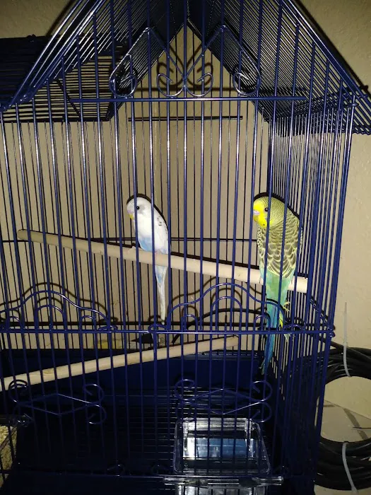 Petco Picture 1