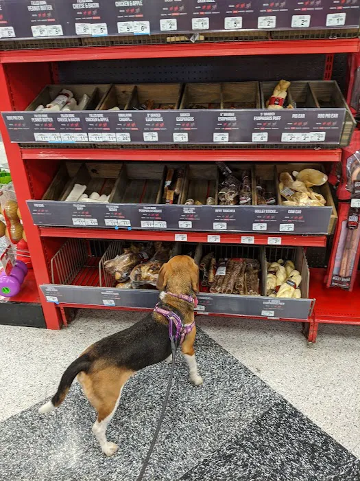 Petco Picture 9