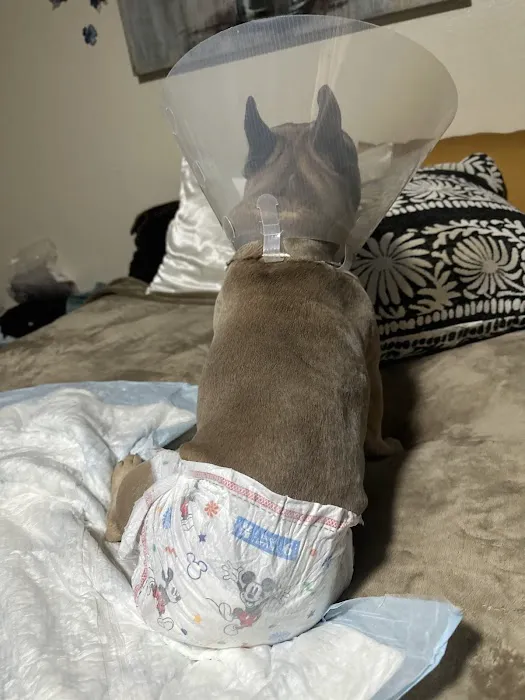 Banfield Pet Hospital Picture 4
