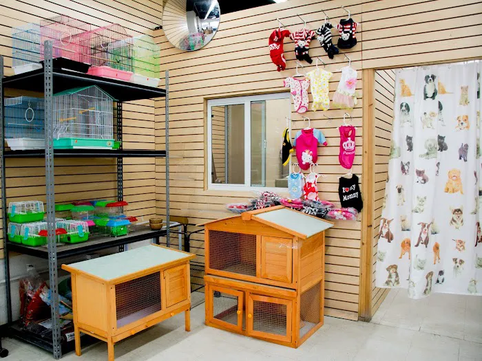 Tweety Brothers Pet Shop Picture 3