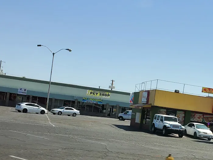 Tweety Brothers Pet Shop Picture 4