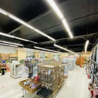 Tweety Brothers Pet Shop ico