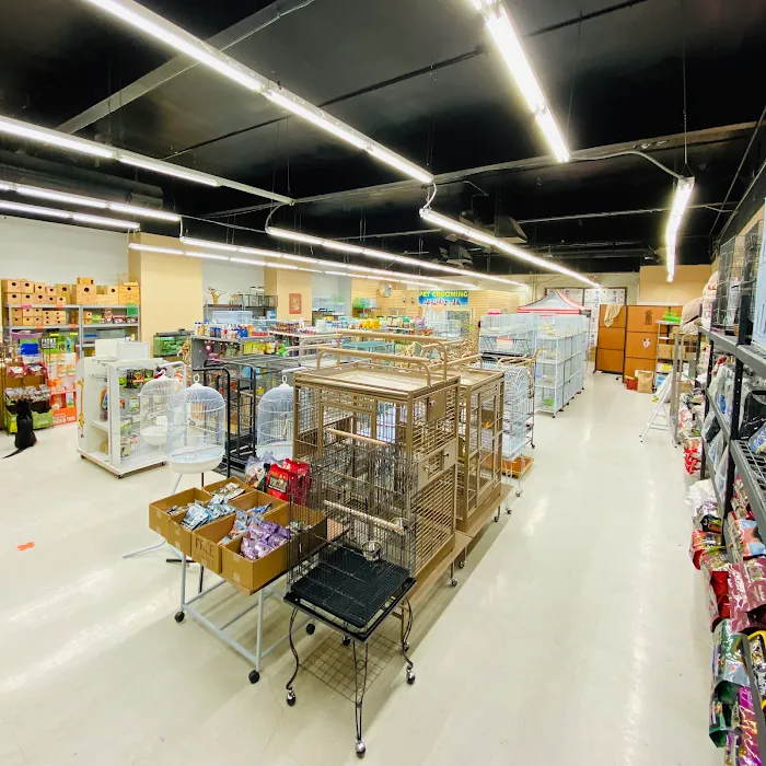 Tweety Brothers Pet Shop Picture 9