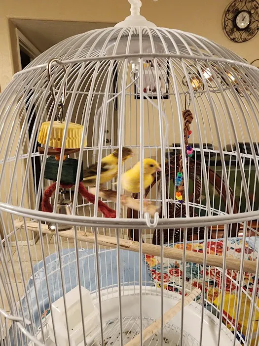 Tweety Brothers Pet Shop Picture 6
