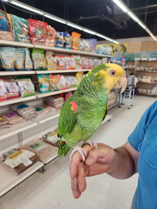 Tweety Brothers Pet Shop Picture 8