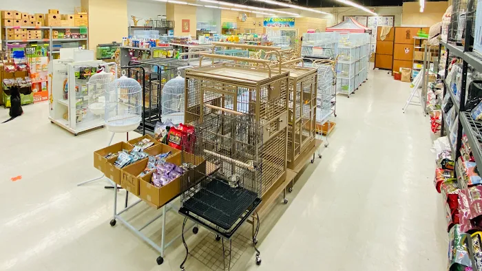 Tweety Brothers Pet Shop Picture 10
