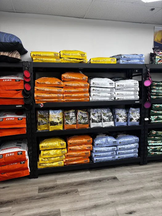 Steady’s Petshop Picture 4