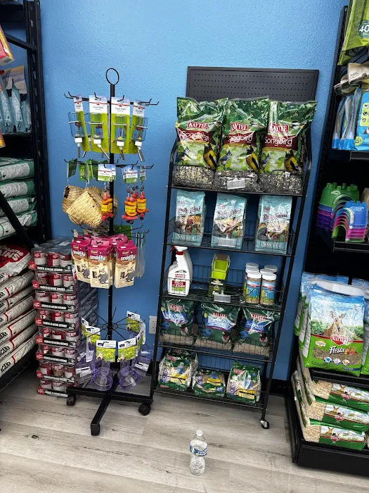 Steady’s Petshop Picture 3