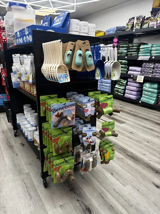 Steady’s Petshop Picture 8