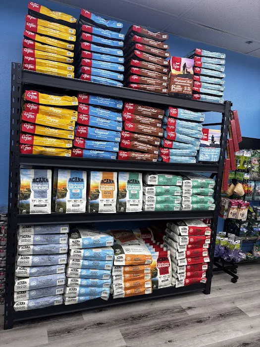 Steady’s Petshop Picture 6