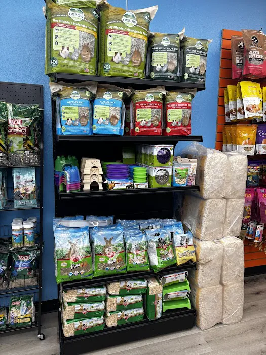 Steady’s Petshop Picture 9