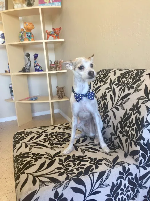 Le Doggie Pet Grooming Picture 1