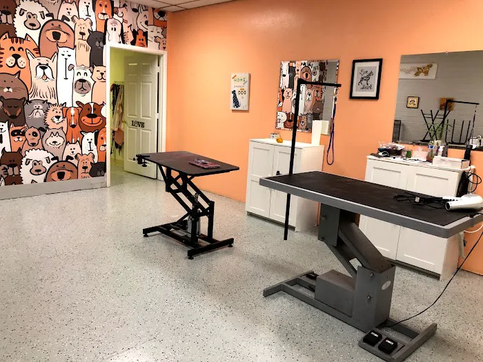 Le Doggie Pet Grooming Picture 6