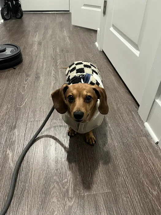 Topanga Veterinary Clinic Picture 4