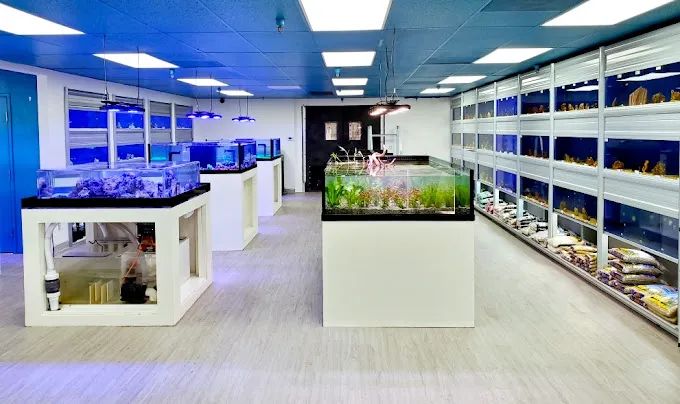 Limited Edition Corals Aquariums Picture 2