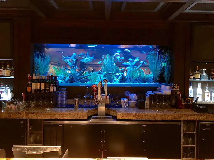 Limited Edition Corals Aquariums Picture 4
